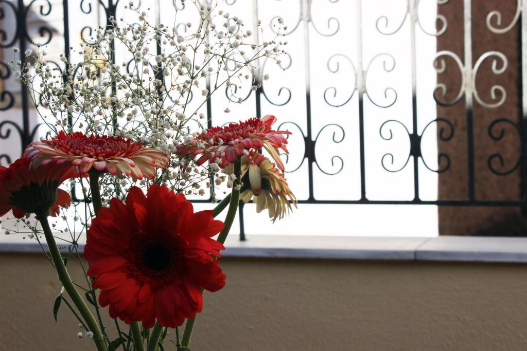 Filyra Pension Nafplio Bagian luar foto